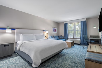Standard Room, 1 King Bed with Sofa bed