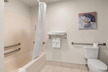 Room, 1 King Bed, Accessible, Non Smoking