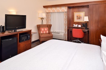 Room, 1 King Bed, Mobility Accessible