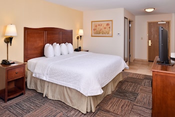Room, 1 King Bed, Mobility Accessible