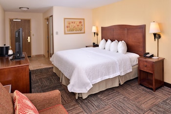 Room, 1 King Bed