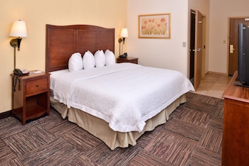 Room, 1 King Bed, Mobility Accessible