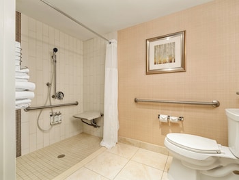 Standard Room, 1 Queen Bed, Accessible (Mobility, Roll-In Shower)