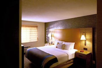 Lodge 1 King Bed Accessible