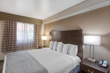Standard Room, 1 King Bed, Accessible, Non Smoking