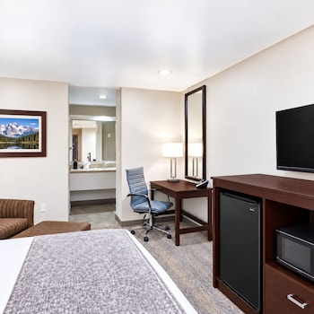 Standard Room, 1 King Bed, Accessible, Non Smoking