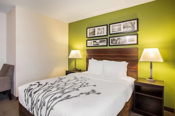 Room, 1 Queen Bed, Accessible, Non Smoking
