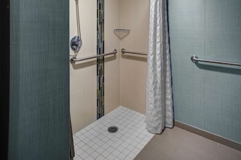 Room, 1 King Bed, Accessible (Shower)