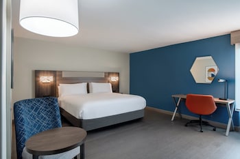Standard Room, 1 King Bed, Roll-in Shower, Non Smoking (Hearing Accessible, Mobility)