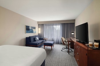 Room, 1 King Bed with Sofa bed, Hearing Accessible
