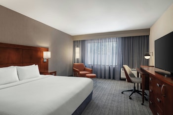 Room, 1 King Bed, Hearing Accessible (Roll-in Shower)