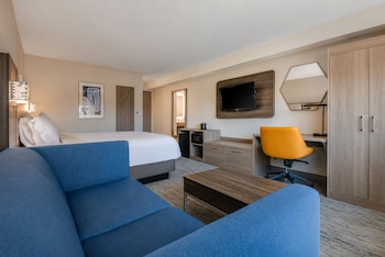 Standard Room, 1 King Bed with Sofa bed