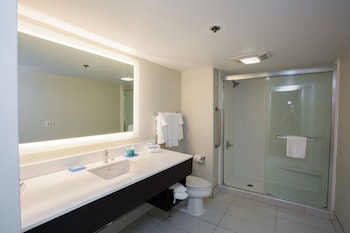 Suite, 1 King Bed