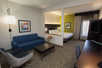 Suite, 1 King Bed with Sofa bed