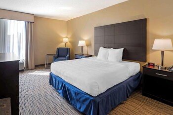 Standard Room, 1 King Bed, Non Smoking, Refrigerator & Microwave