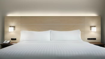 Suite, 1 King Bed with Sofa bed