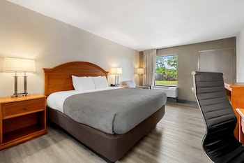 Standard Room, 1 King Bed, Non Smoking
