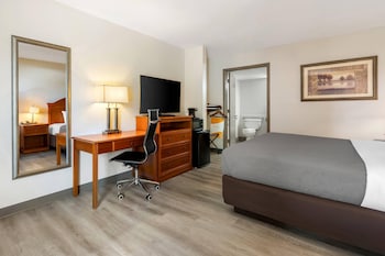 Room, 1 King Bed, Accessible, Non Smoking