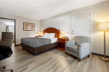 Room, 1 King Bed, Accessible, Non Smoking