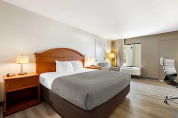 Room, 1 King Bed, Accessible, Non Smoking