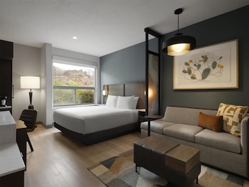 Room, 1 King Bed with Sofa bed