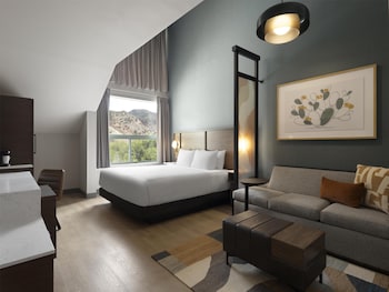 Room, 1 King Bed with Sofa bed, Mountain View