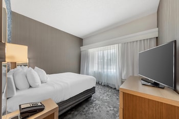 Suite, 1 King Bed with Sofa bed, Non Smoking
