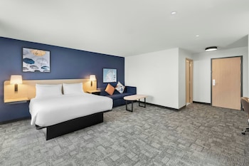 Standard Room, 1 King Bed with Sofa bed