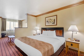 Room, 1 King Bed
