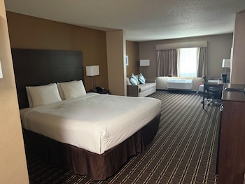 Standard Room, 1 King Bed, Non Smoking, Refrigerator & Microwave (Larger Room;with Sofabed)