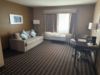 Standard Room, 1 King Bed, Non Smoking, Refrigerator & Microwave (Larger Room;with Sofabed)