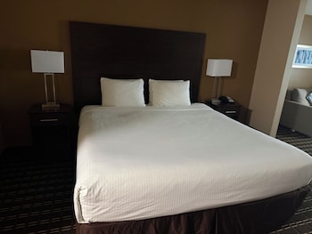 Standard Room, 1 King Bed, Non Smoking, Refrigerator & Microwave (Larger Room;with Sofabed)