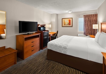 Standard Room, 1 King Bed, Non Smoking