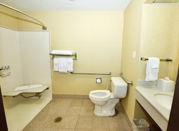Standard Room, 1 Queen Bed, Accessible (Communications, Roll-In Shower)