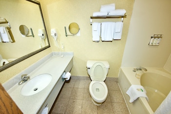 Standard Room, 1 King Bed with Sofa bed