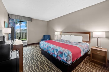 Room, 1 King Bed, Accessible, Non Smoking