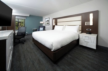 Room, 1 King Bed