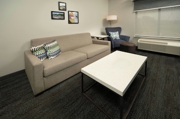 Studio, 1 King Bed with Sofa bed