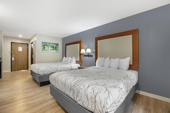 Standard Room, 2 Queen Beds, Non Smoking, Refrigerator & Microwave
