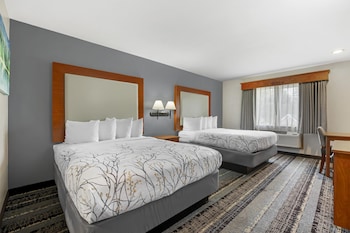 Standard Room, 2 Queen Beds, Non Smoking, Refrigerator & Microwave