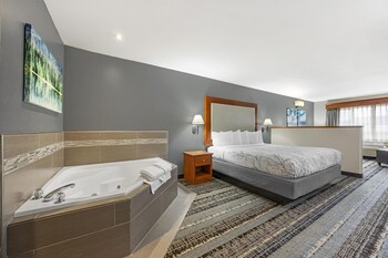 Standard Room, 1 King Bed, Non Smoking, Refrigerator & Microwave
