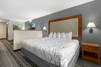 Standard Room, 1 King Bed, Non Smoking, Microwave