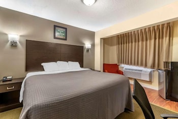 Standard Room, 1 King Bed