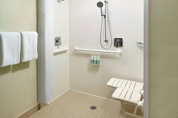 Room, 1 King Bed, Hearing Accessible (Roll-in Shower)