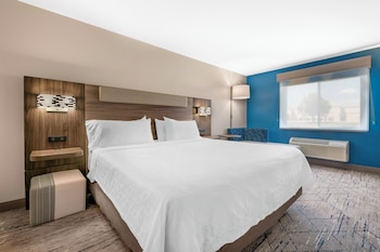Suite, 1 King Bed with Sofa bed
