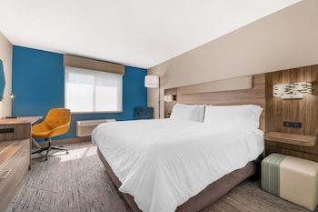 Executive Room, 1 King Bed, Accessible Bathtub (Adjustable Shower Head)