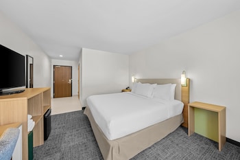 Room, 1 King Bed, Accessible, Bathtub (Mobility & Hearing)