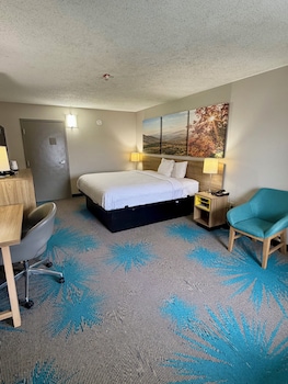 Room, 1 King Bed, Accessible
