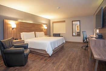 Suite, 1 King Bed