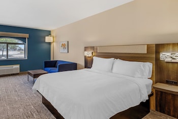 Standard Room, 1 King Bed with Sofa bed